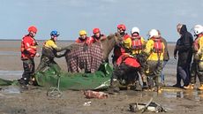 hoylake_rnli_hovercraft_crew_assist_in_rescue_of_two_horses_stuck_in_thick_mud2.jpg