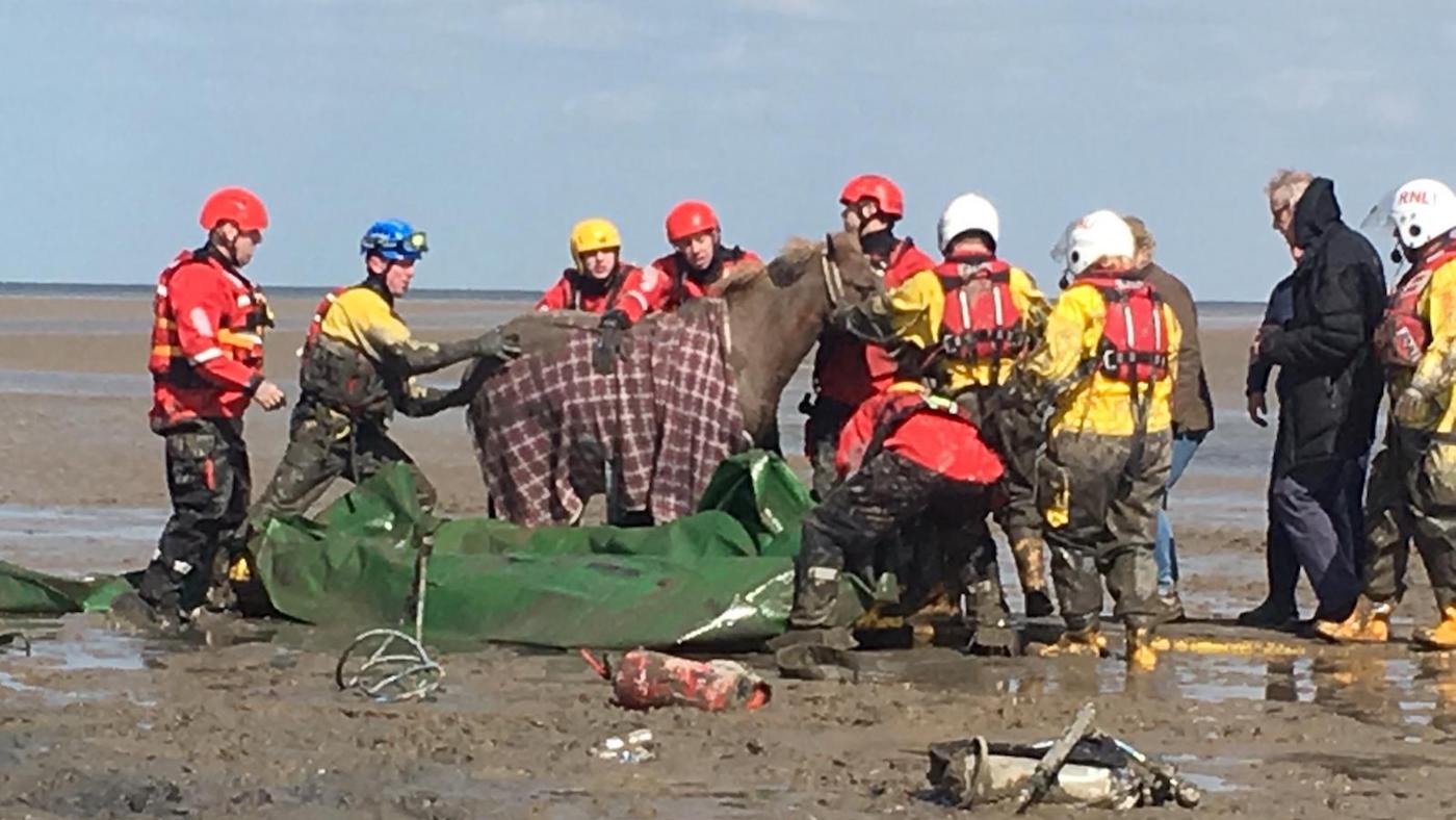 hoylake_rnli_hovercraft_crew_assist_in_rescue_of_two_horses_stuck_in_thick_mud2.jpg