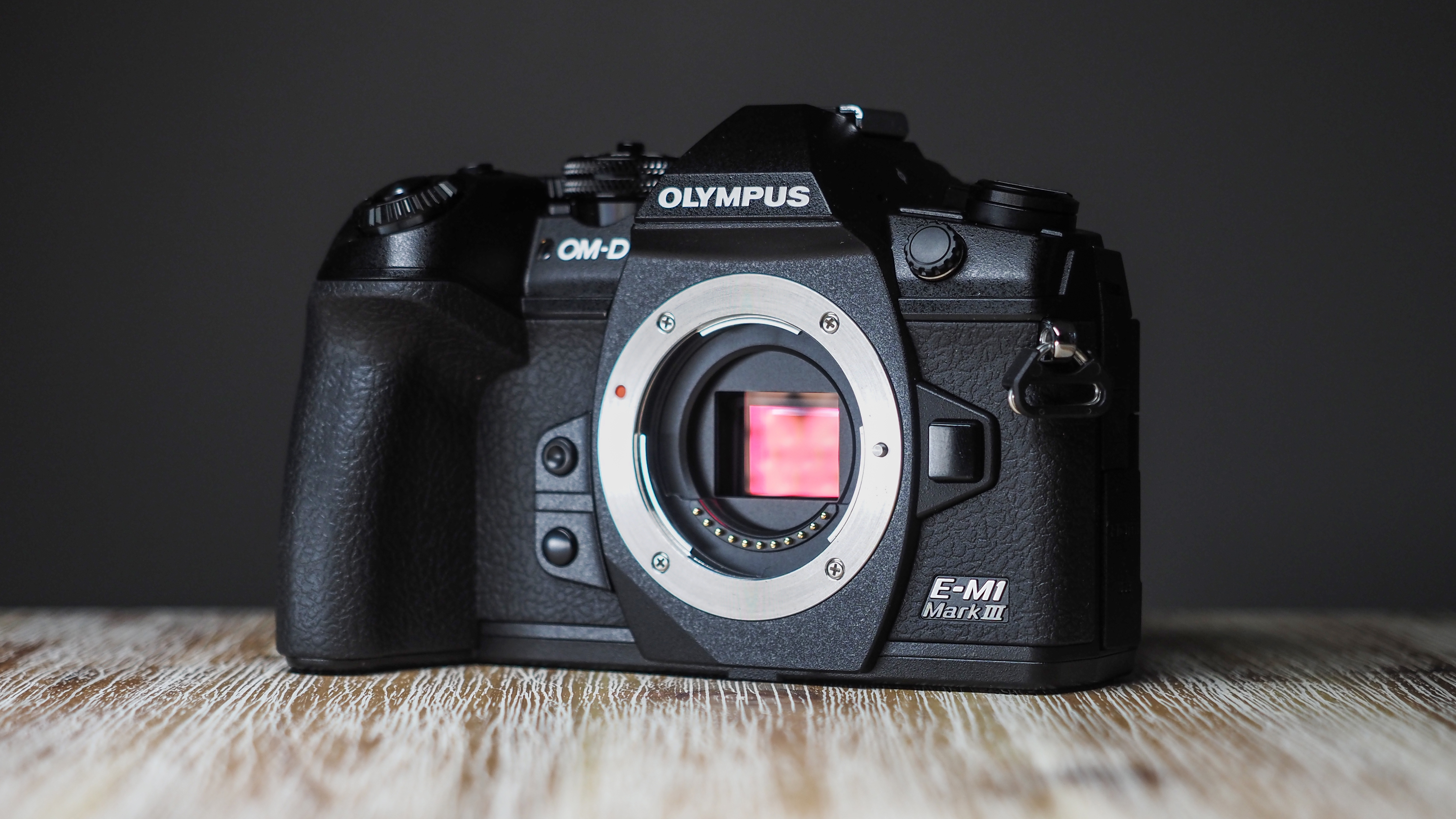 Best Micro Four Thirds cameras: Olympus OM-D E-M1 Mark III