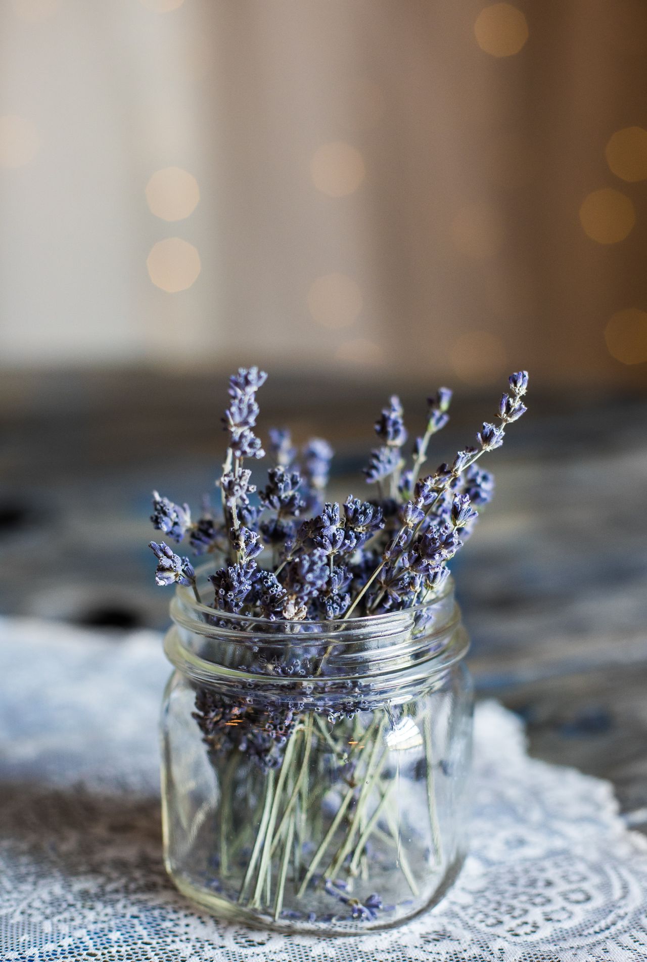 Growing lavender top tips for planting, pruning, and harvesting lavender Real Homes