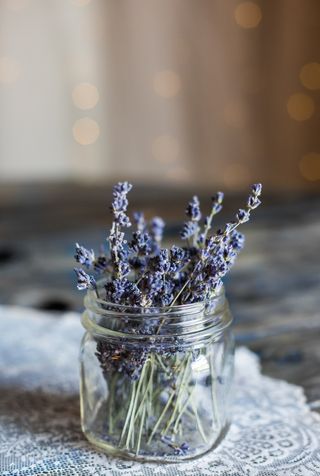 Lavender by Heather Ford