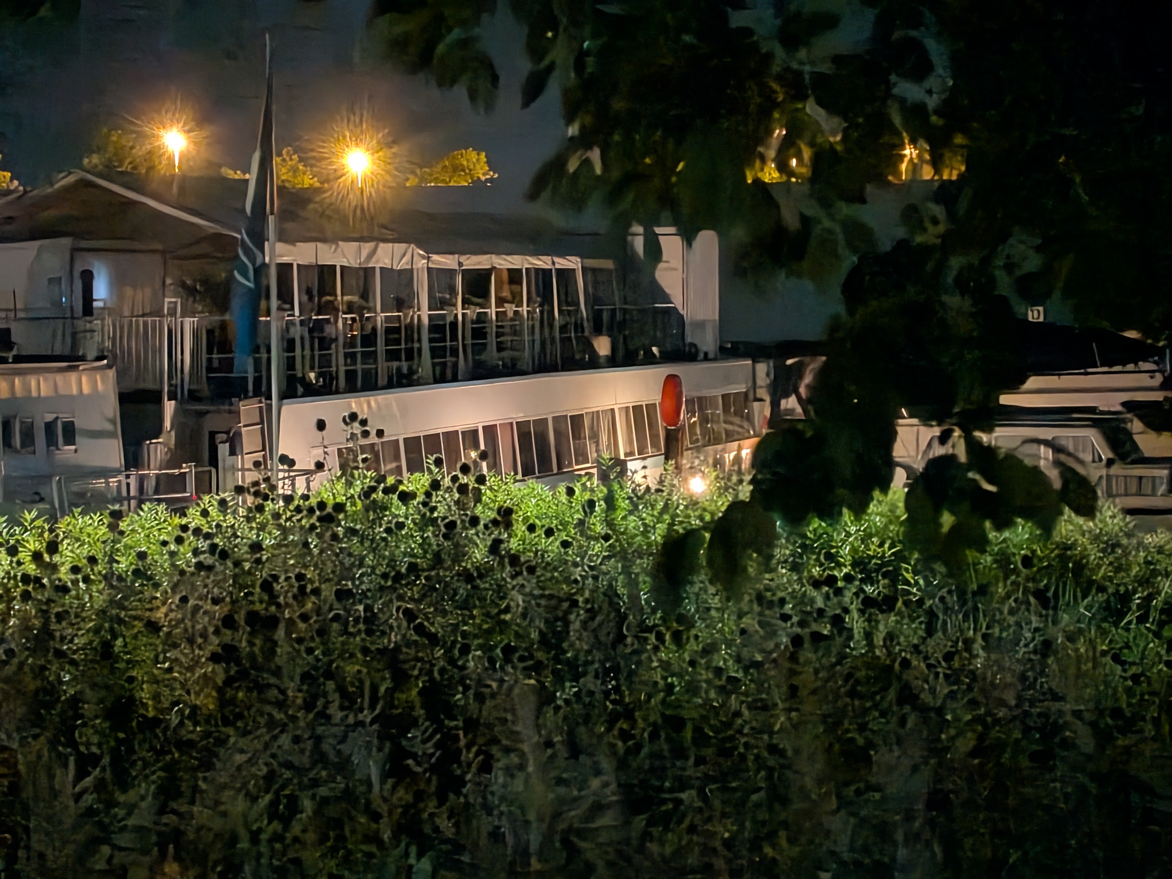 Google Pixel 10 voorbeeldfoto