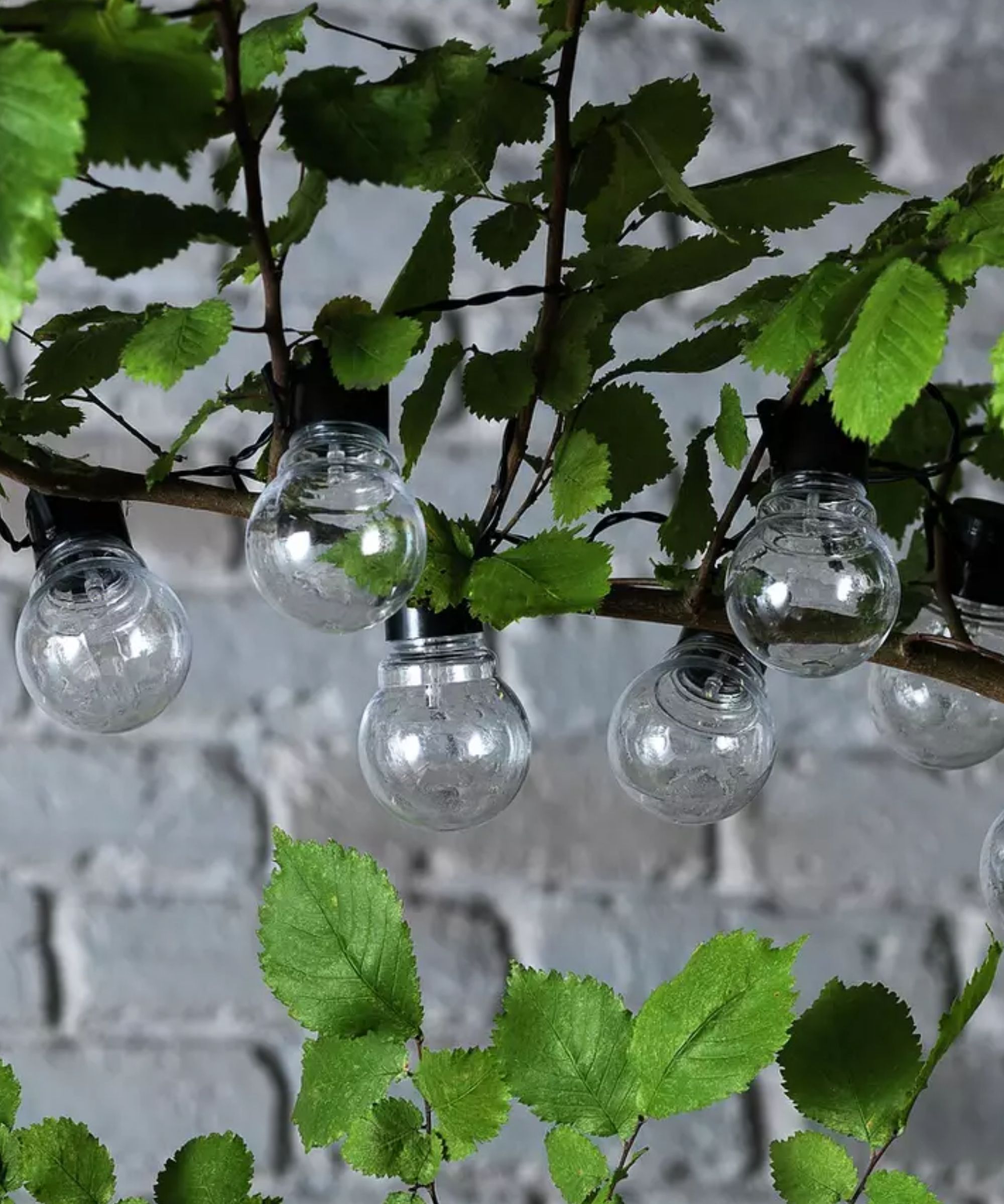 Habitat Solar 20 Festoon Warm White Lights in tree not on