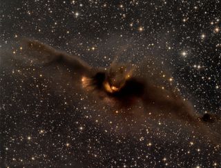 A dark brown and black nebulas gas cloud stretches across a black expanse of countless stars, its center glowing with a subtle yello-orange