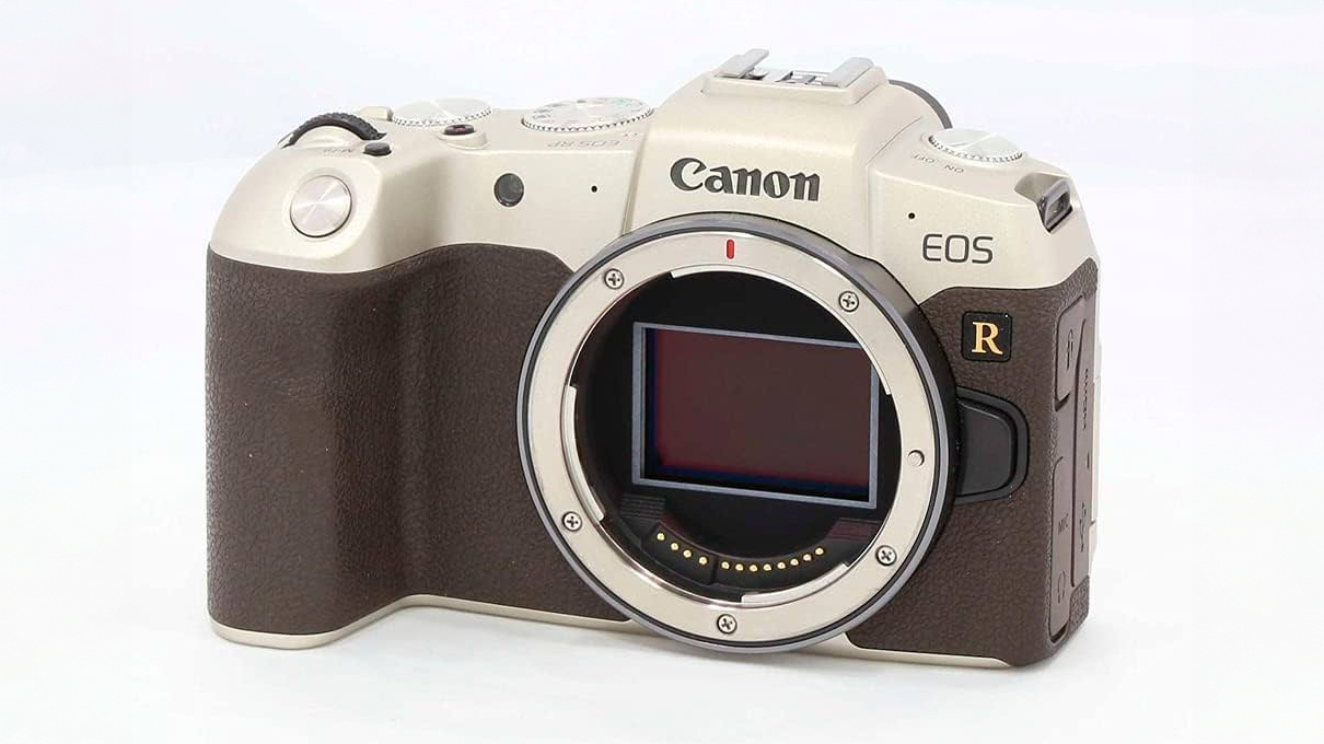 Canon EOS RP Gold camera against a grey background