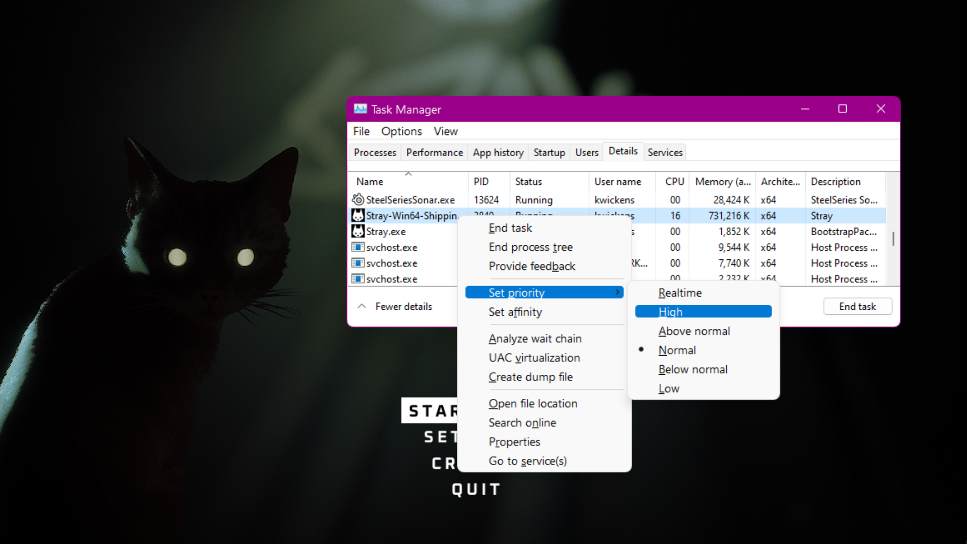 The Task manager open changing the priority of Stray.