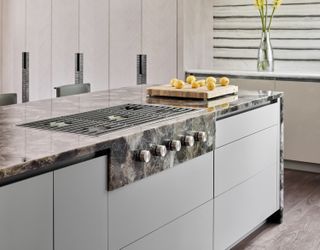 Gray kitchen stovetop and cabinets