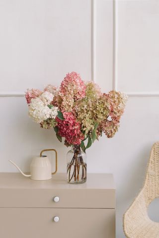 hydrangeas in a glass vase