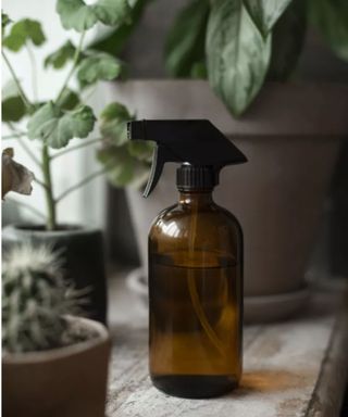 brown spray bottle on window sill near potted plants