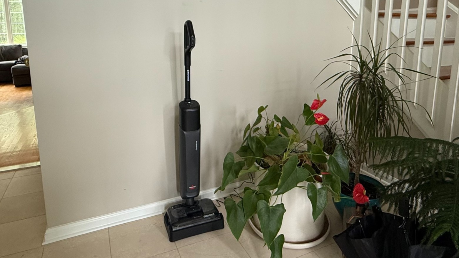 Bissell CrossWave Reach Plus vacuum cleaner beside plants