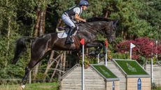 MHS-Brown-Jack-HorseNo366_Wellington_20PN_94333_407809491_730032071.jpg
