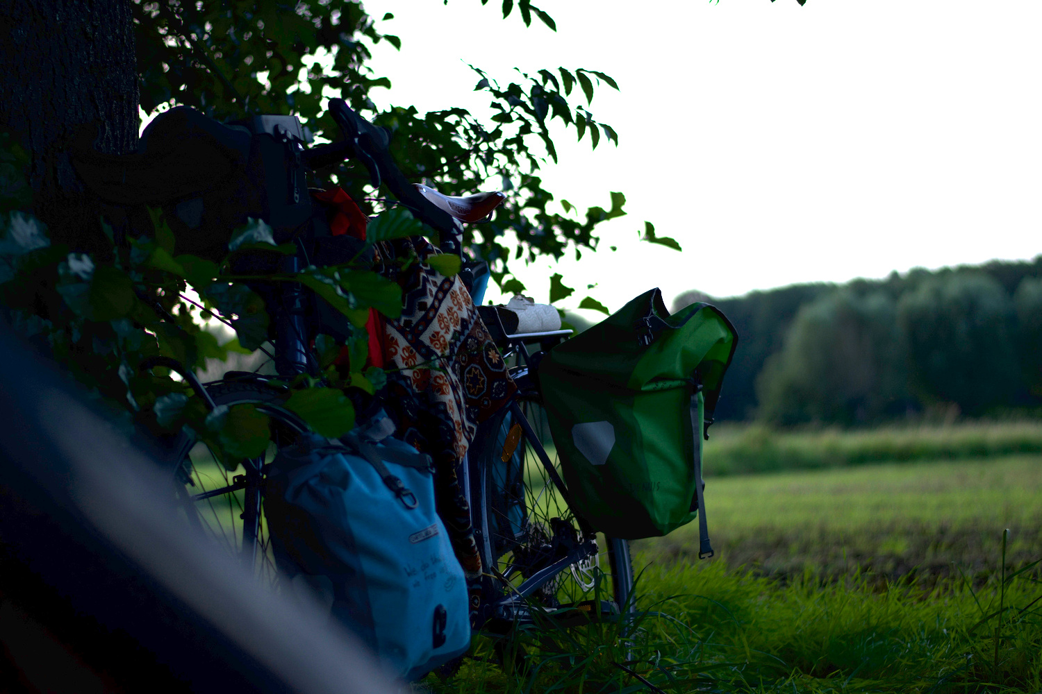 A bike leant against a tree