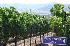 california wine road trip