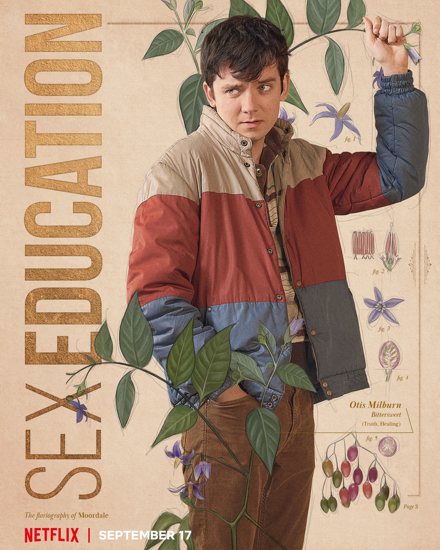 Asa Butterfield as Otis Milburn with an illustration of a bittersweet.