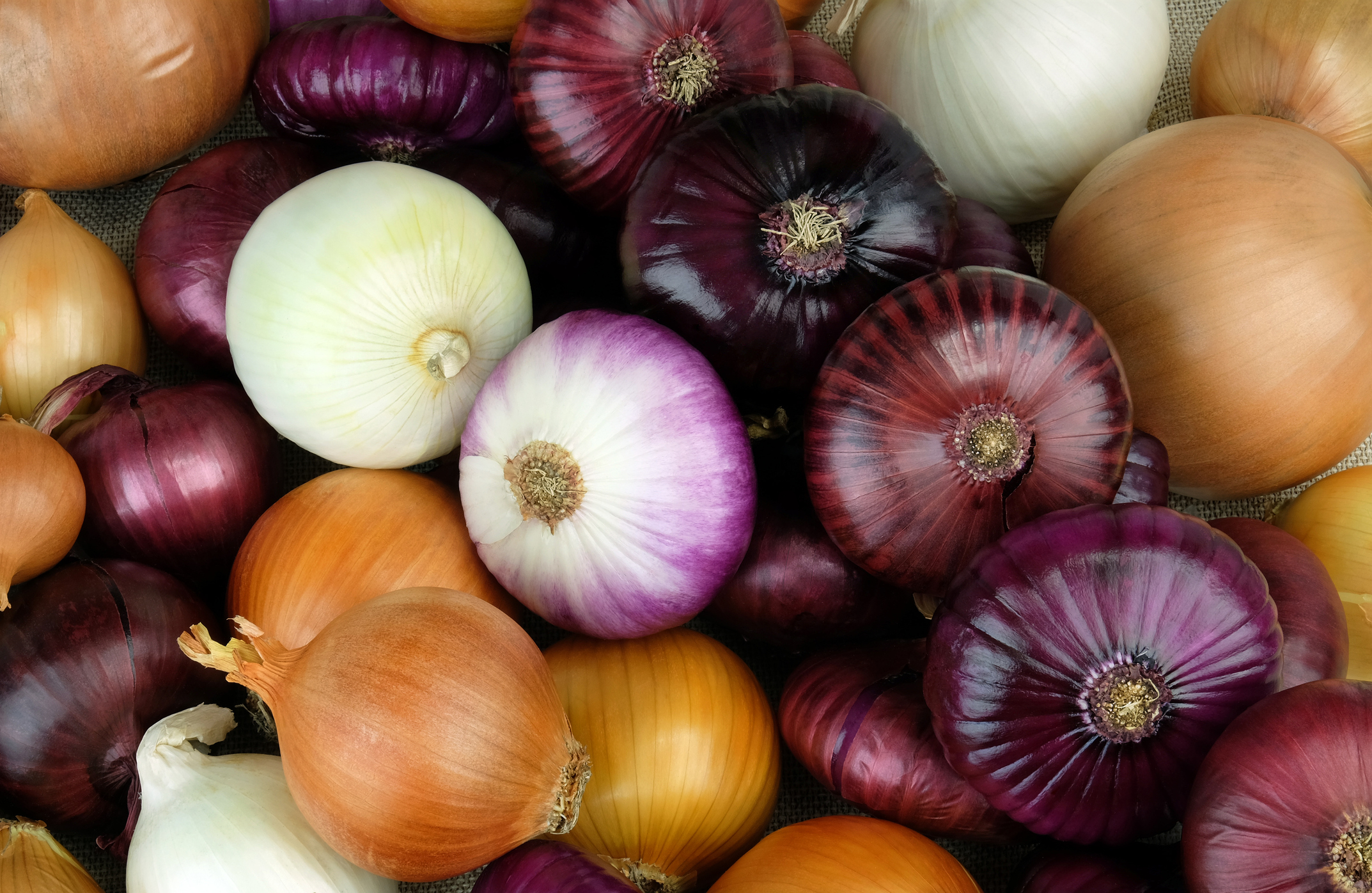 Red, white and yellow onions.