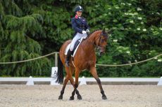 Piggy-March_BROOKFIELD-INOCENT_BictonInter_PN21_12564.jpg