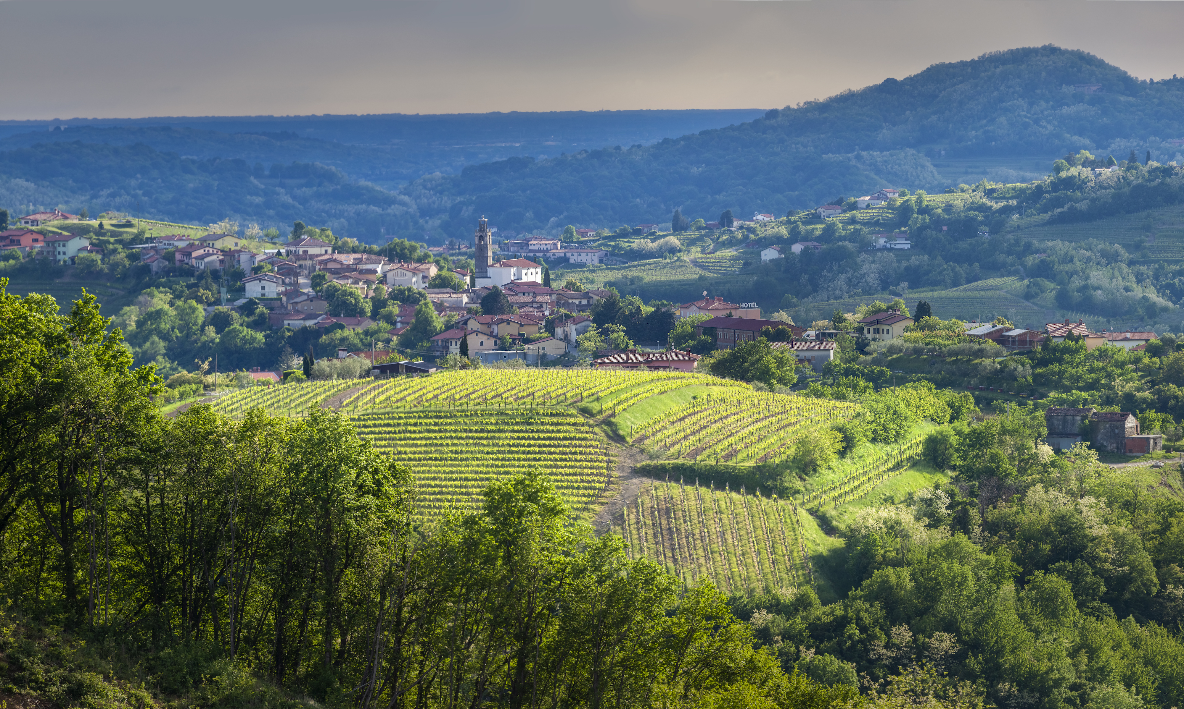An aerial view of the Slovenian wine village of Goriska Brda