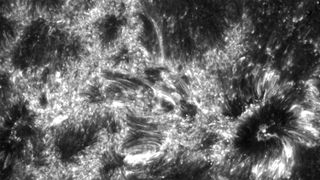 NASA's IRIS spacecraft captured this glimpse of the interface region below the surface of the sun. Image released Feb. 11, 2014.