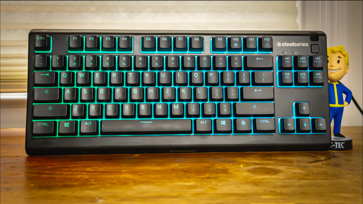 SteelSeries Apex 3 TKL Review: Can Do More than Most for Less