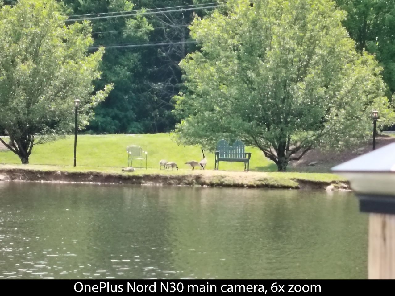 Camera samples from the OnePlus Nord N30 5G