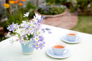 teacups on table outdoors