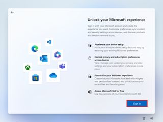Microsoft experience