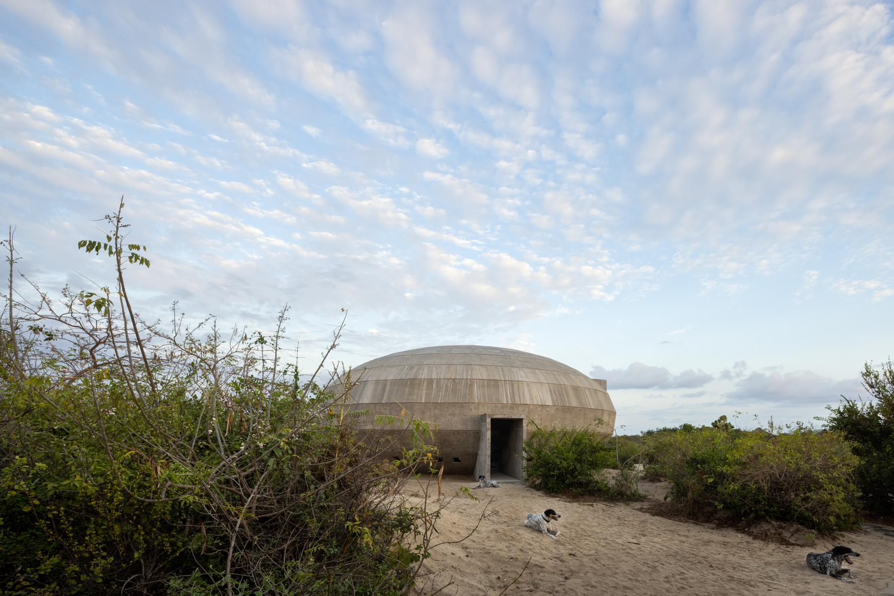 oval shaped Casa Wabi Mushroom Pavilion by OMA