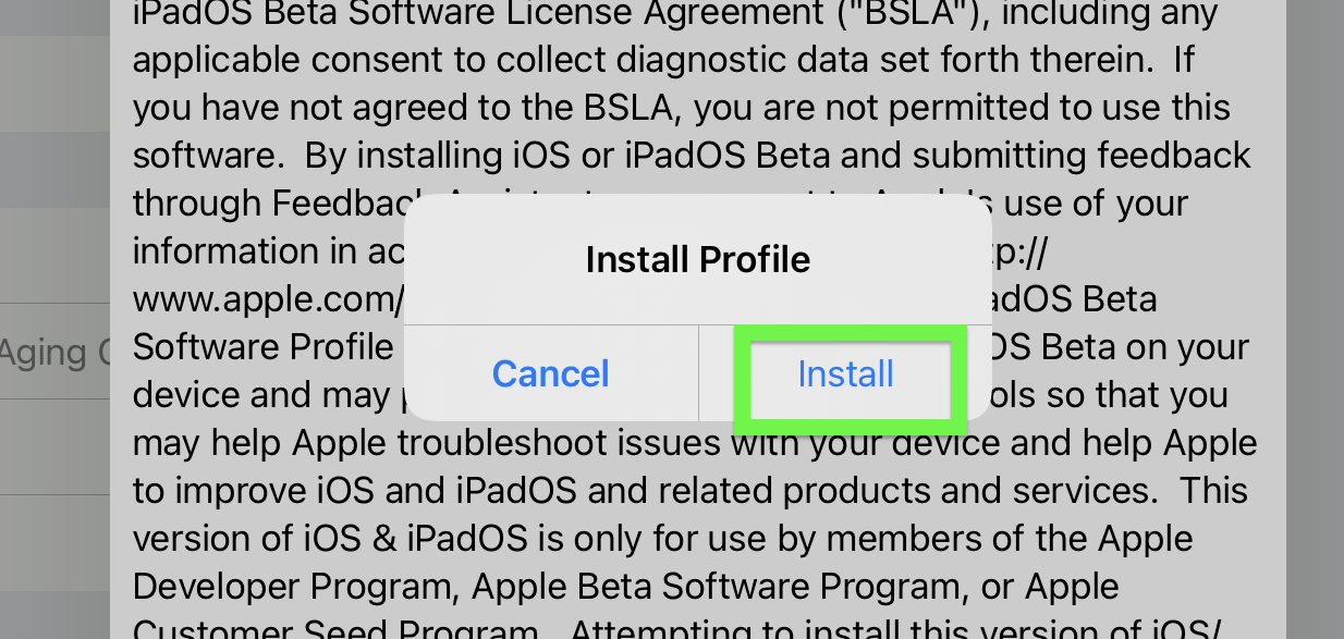 iPadOS 15 beta how to download: Tap install again