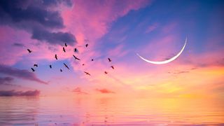 pink and yellow sky with crescent moon to represent neptune retrograde 2022