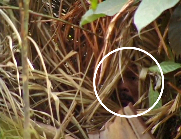 The &#039;Man of the Hole&#039;s&#039; face glimpsed in the footage of Vincent Carelli&#039;s 2009 documentary Corumbiara..