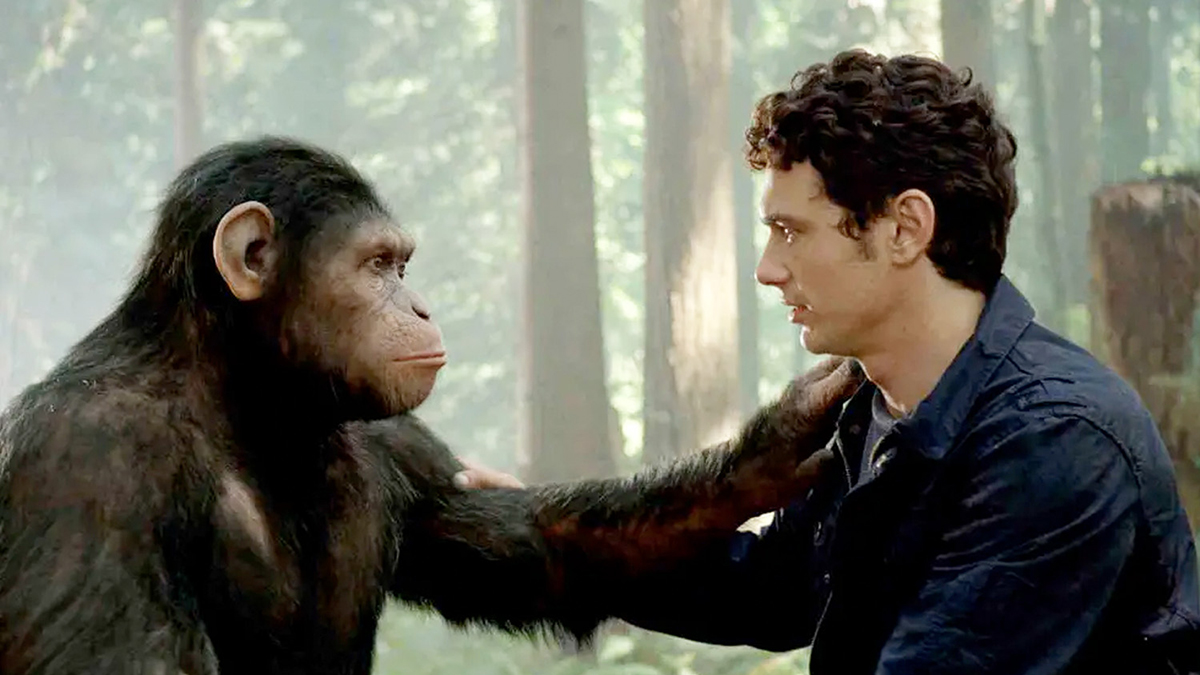 An ape and also Caesar as seen in Rise of the Planet of the Apes