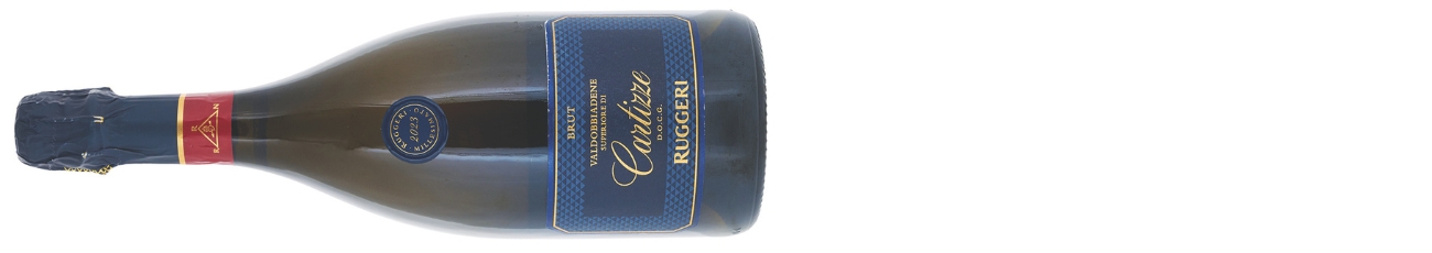 DWWA 2025 top winners