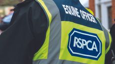 RSPCA-alamy-EPP3GW_109423992_205203522.jpg