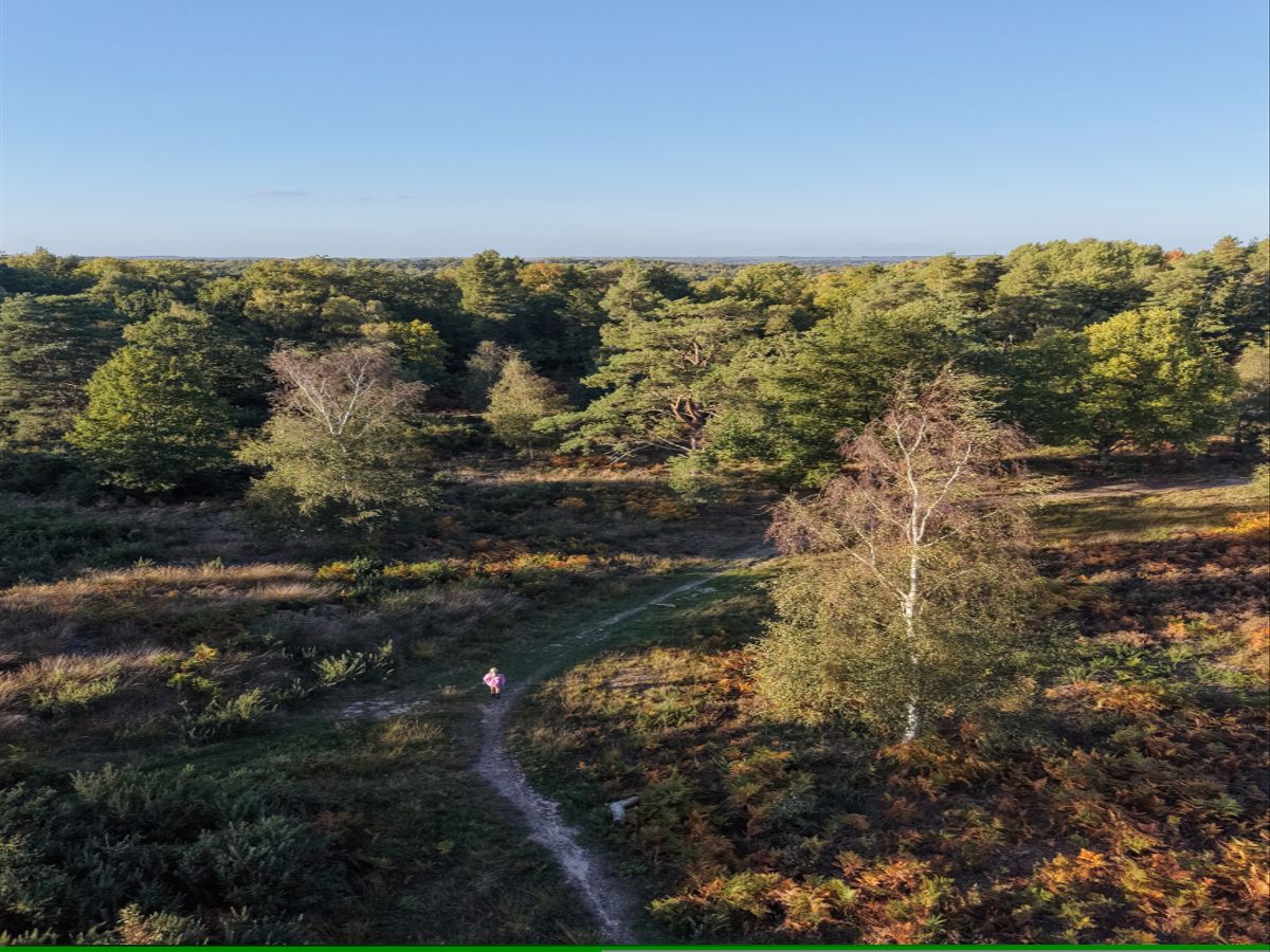 DJI Mini 5 Pro image: aerial photo of a UK heathland with walker on a footpath