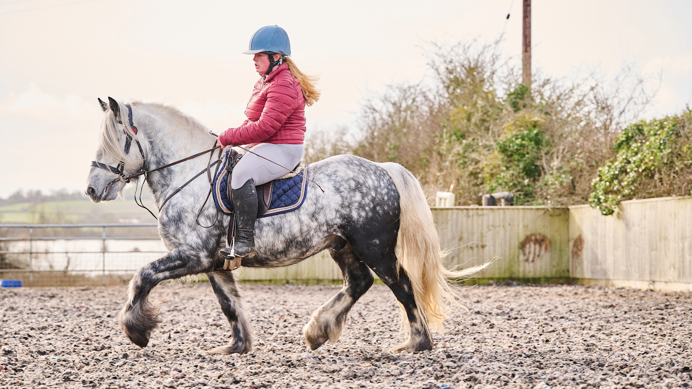 Highland ridden native pony doing dressage