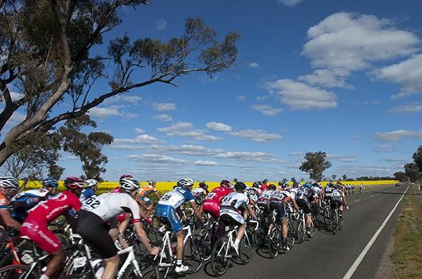 The peloton heads towards Cobram during stage two of the tour.