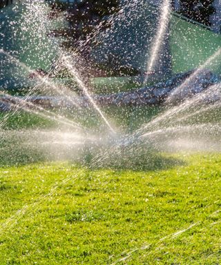 A green lawn with a sprinkler shooting water out of it