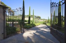 Provence vineyard for sale