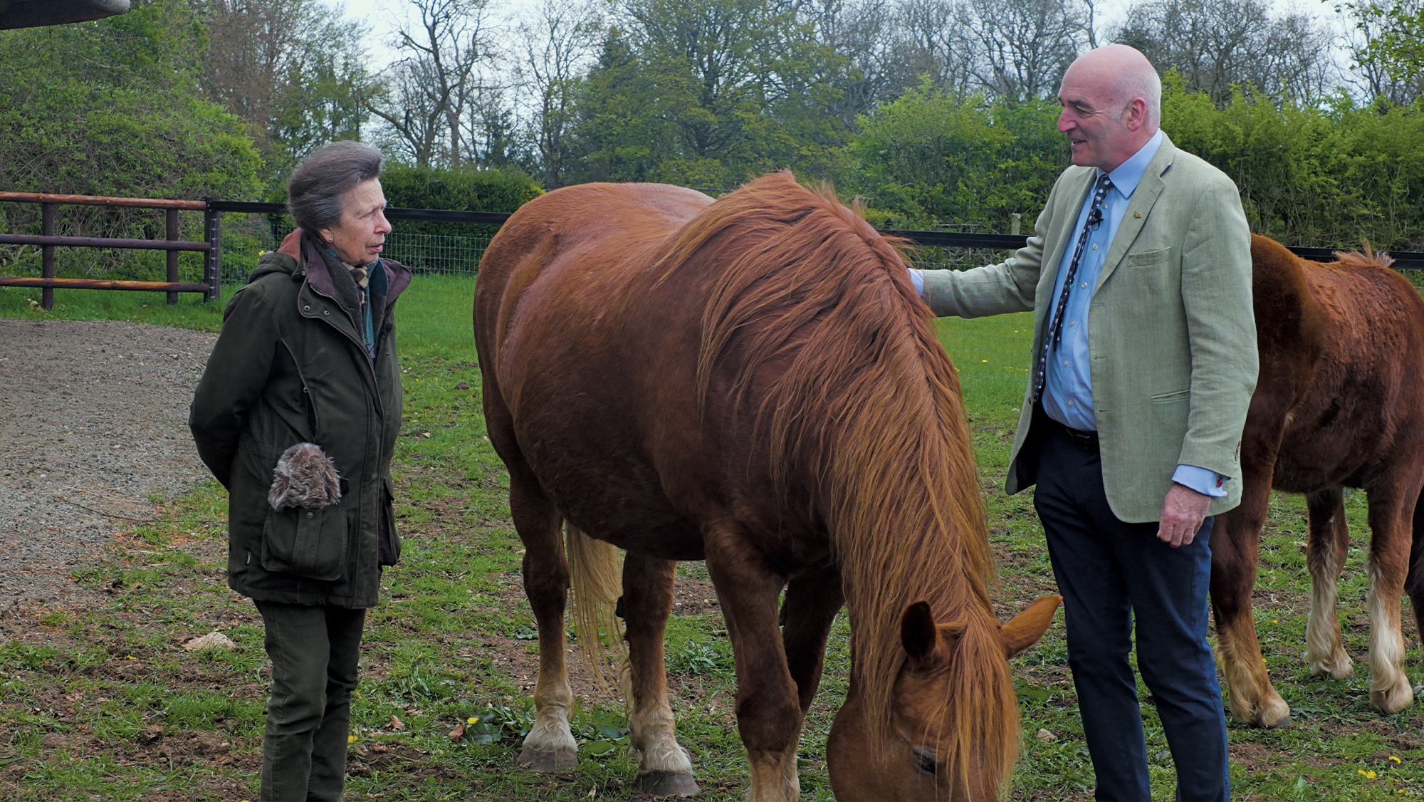 Princess Anne talking to Tullis Matson, with a Suffolk horse standing between them