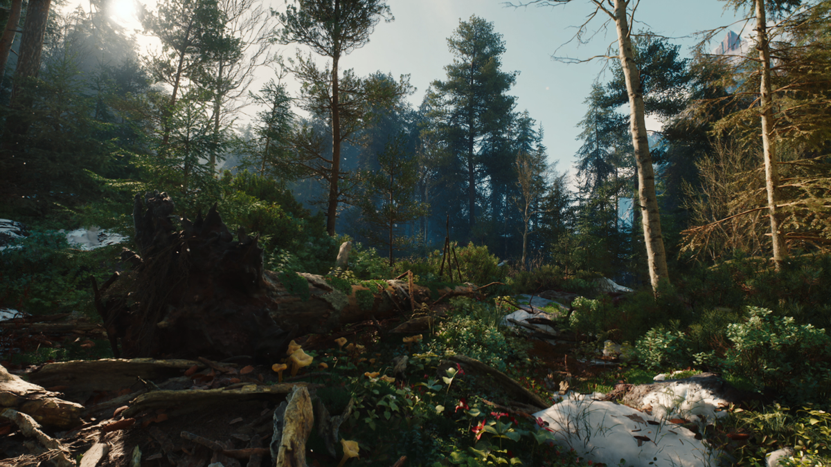 Images from Witcher 4 Unreal Engine 5.6 tech demo