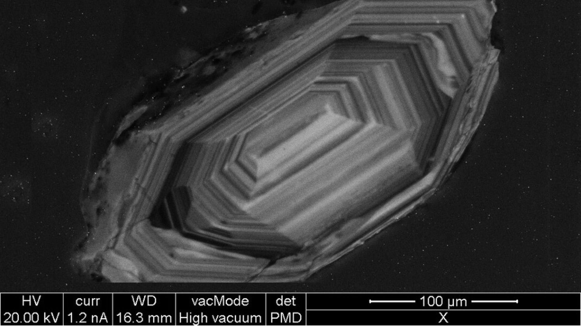 A microscope image of a zircon crystal