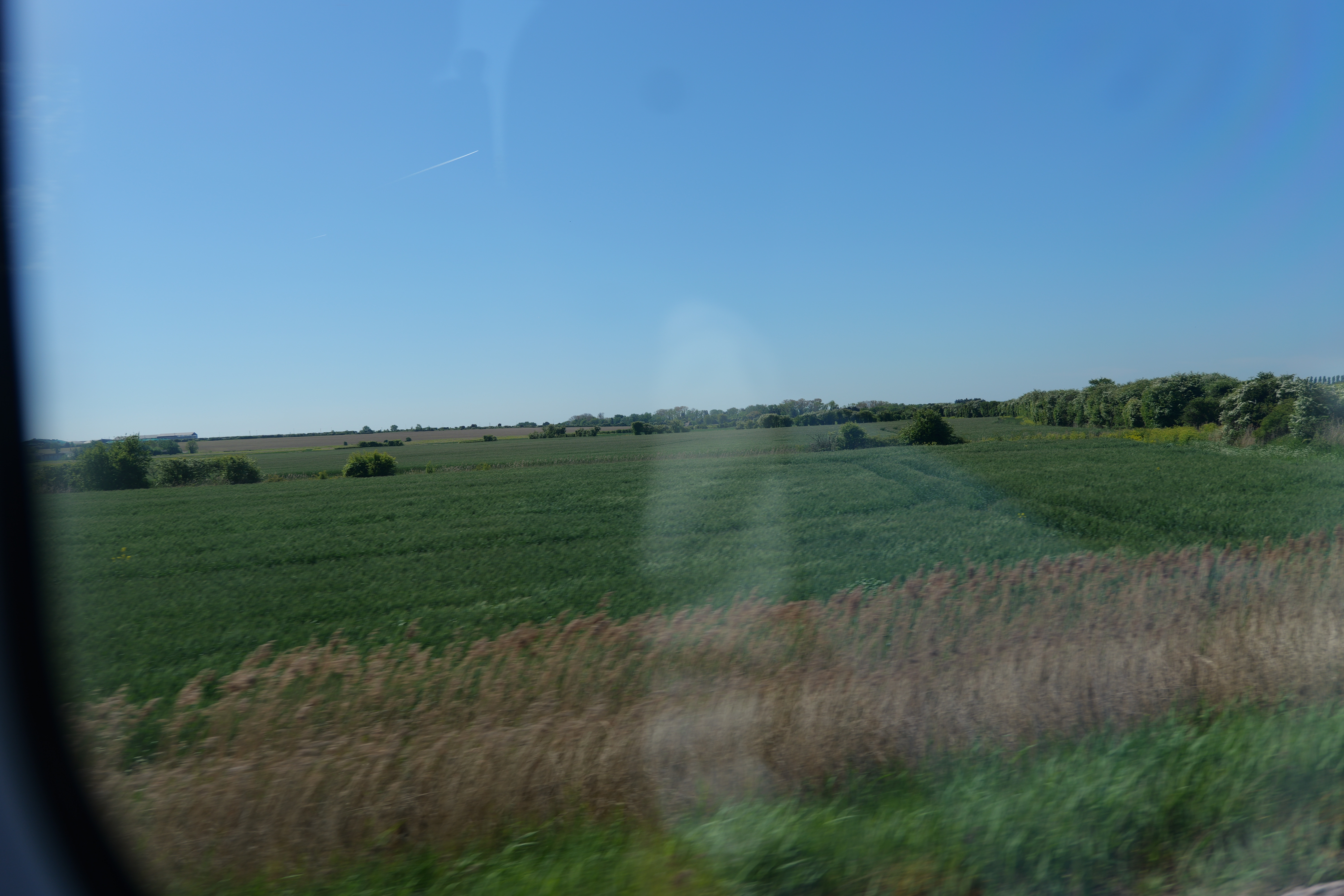 View of a field out of a train window