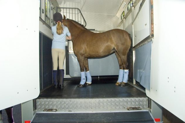 rowena-and-bee-on-lorry-1-e1498820753100.jpg