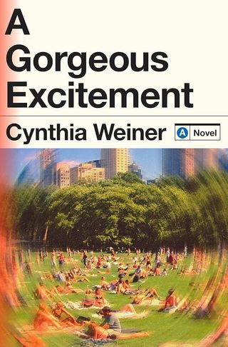 A Gorgeous Excitement book cover