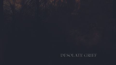 Cover art for Faal - Desolate Grief album