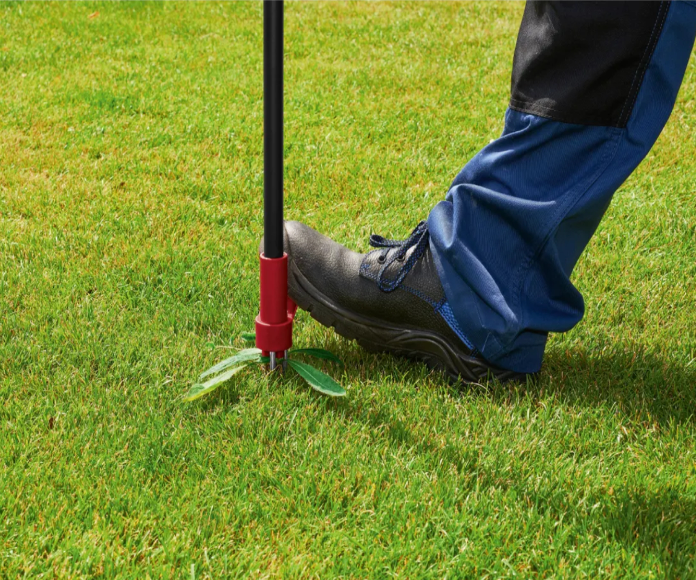 foot pressed on weed puller in lawn
