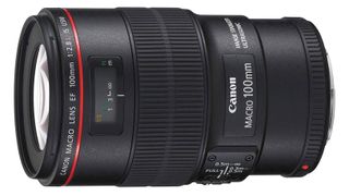 Canon EF 100mm f/2.8 Macro USM