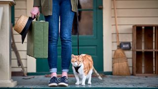 Woman with her suitcase and cat wearing harness about to go on holiday