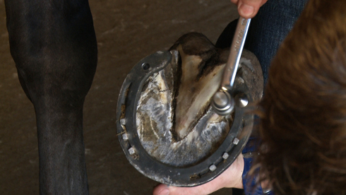 12.Hammering-In
