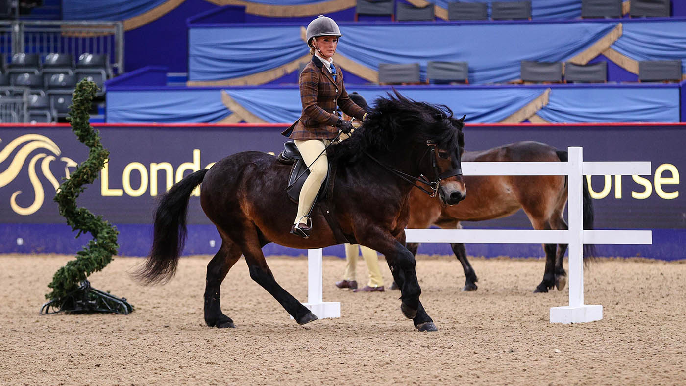 HorseNo_332_LIHS_PN24_182144